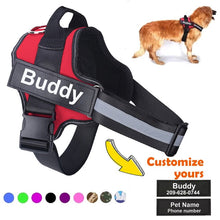 Load image into Gallery viewer, Drippy Rags Durags Bonnets Headbands Headwear More Other Personalized Dog Harness